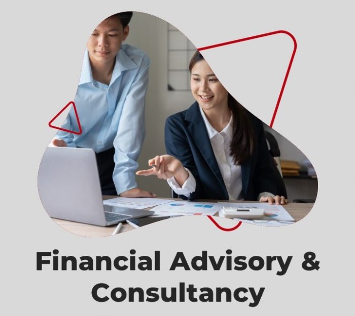 Singapore Financial Consultancy Provider