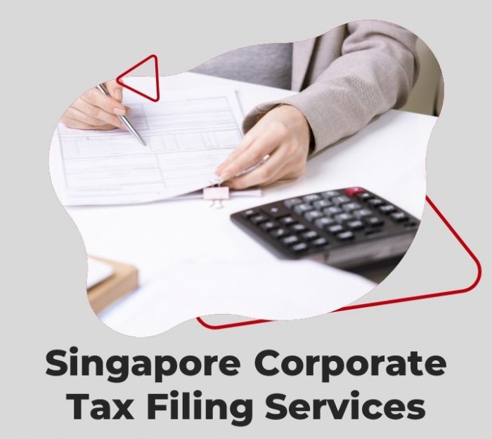 Singapore Corporate Tax Filing Provider